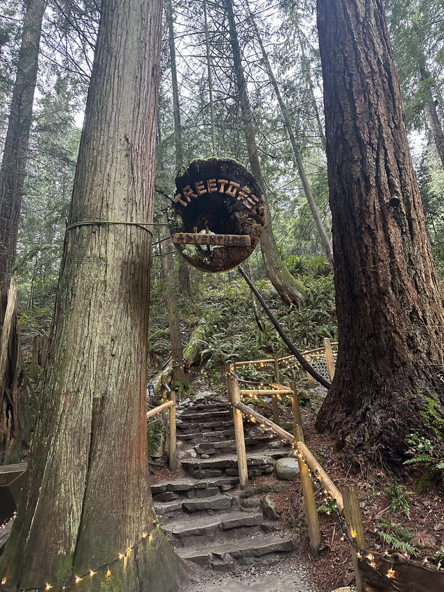 Experience the Thrill of Capilano Suspension Bridge Park
