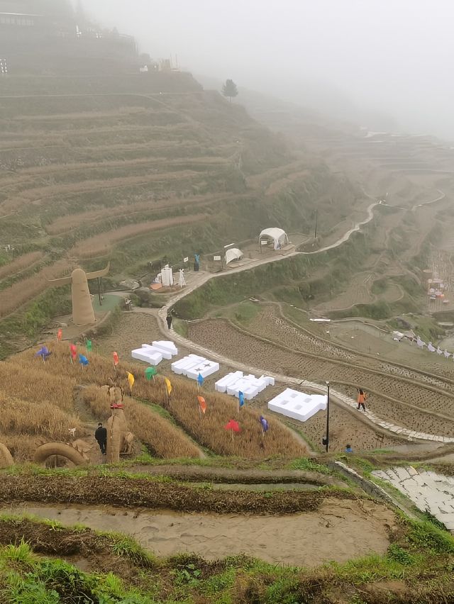 美到令人讚嘆的雲和梯田在浙江麗水