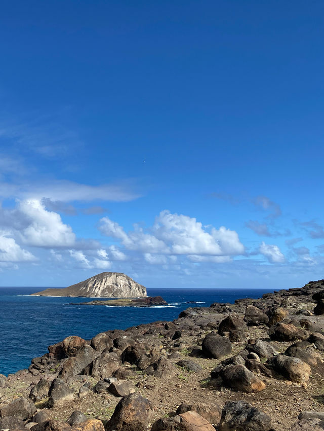 歐胡島｜冬季海島遊～愜意度假之旅