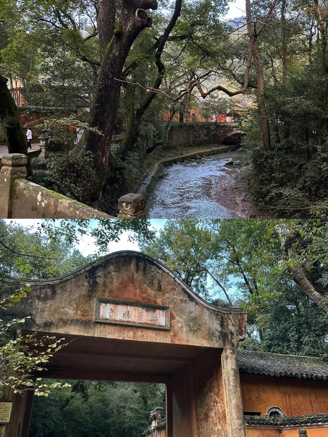 學生黨激動哭了，來台州一定要住這家酒店！