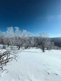 7天暢遊哈爾濱-雪鄉-長白山 超詳細攻略帶你玩轉東北