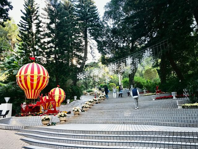 香港公園，免費純玩打卡地標