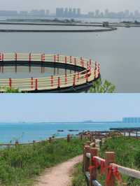 小眾旅遊地坐渡輪才能到的-桑島