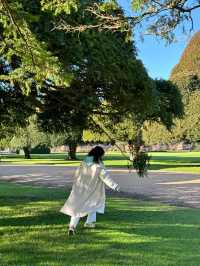 Hampton Court Palace New Year Ticket Offer: 50% Off!