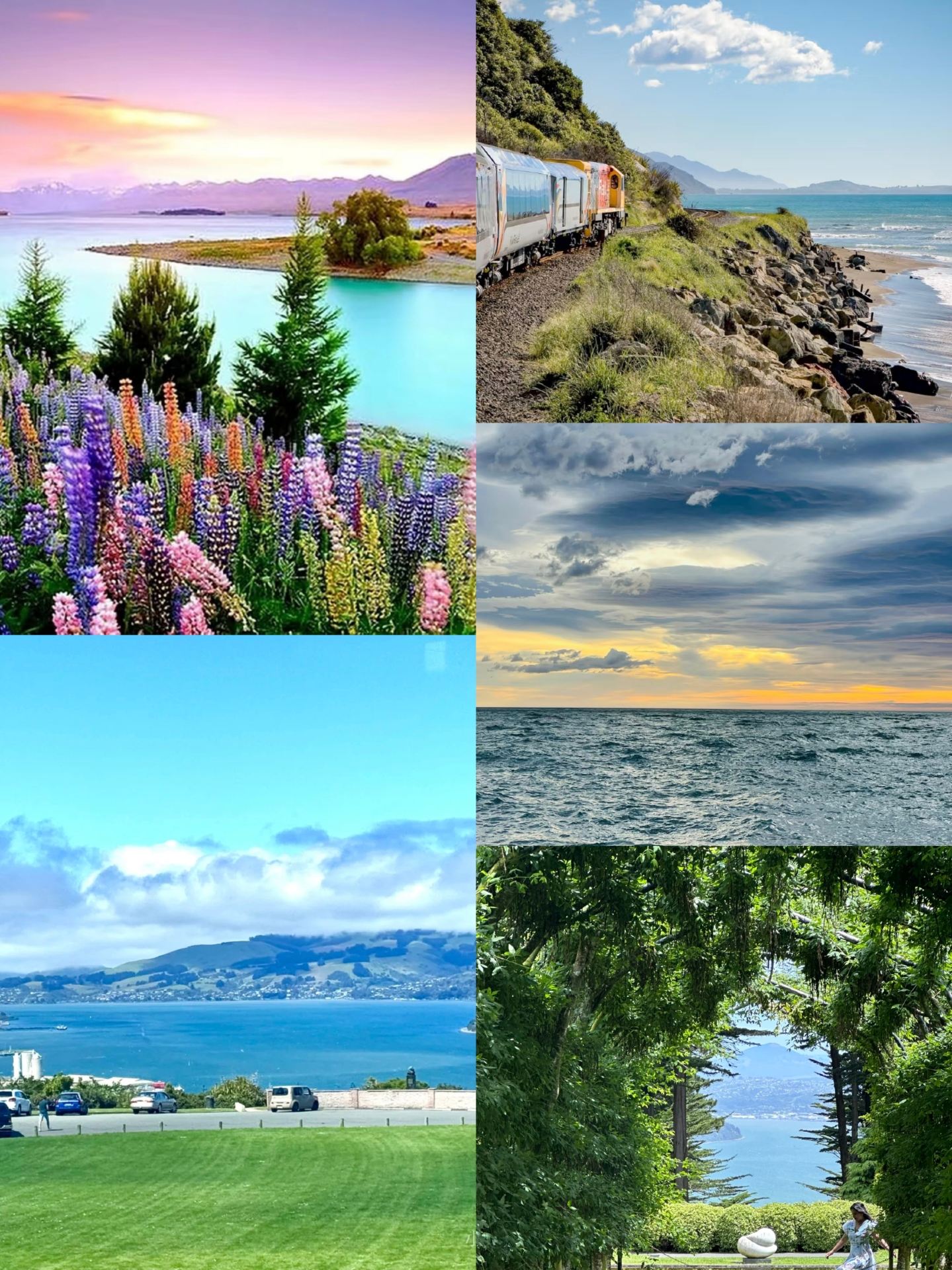 Thành phố đầy nắng của New Zealand, thiên đường rượu vang!