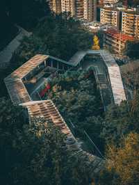 The Most Beautiful Free Viewing Platform: 8D City Views of Chongqing!