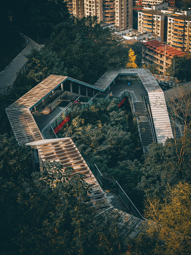 The Most Beautiful Free Viewing Platform: 8D City Views of Chongqing!