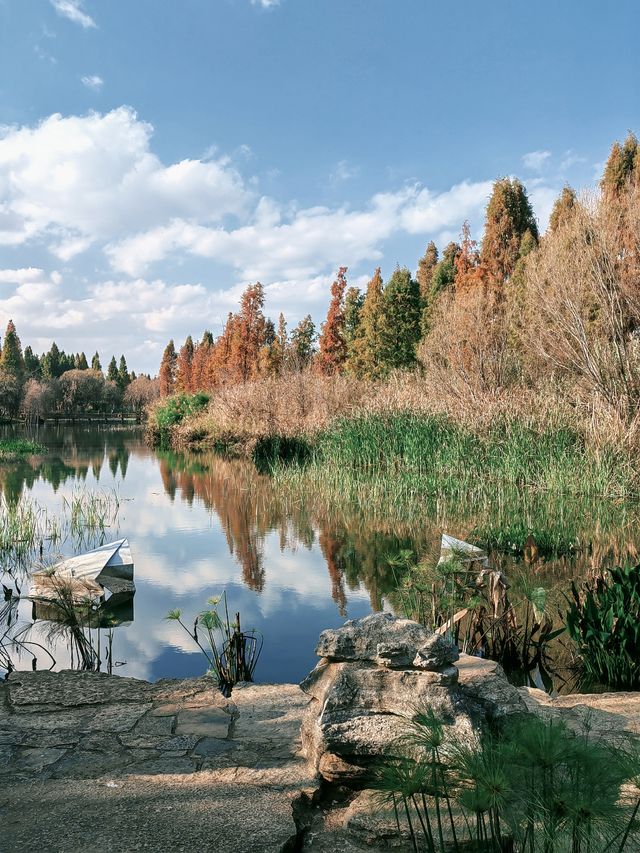 解鎖新年好心情-週末逛濕地公園
