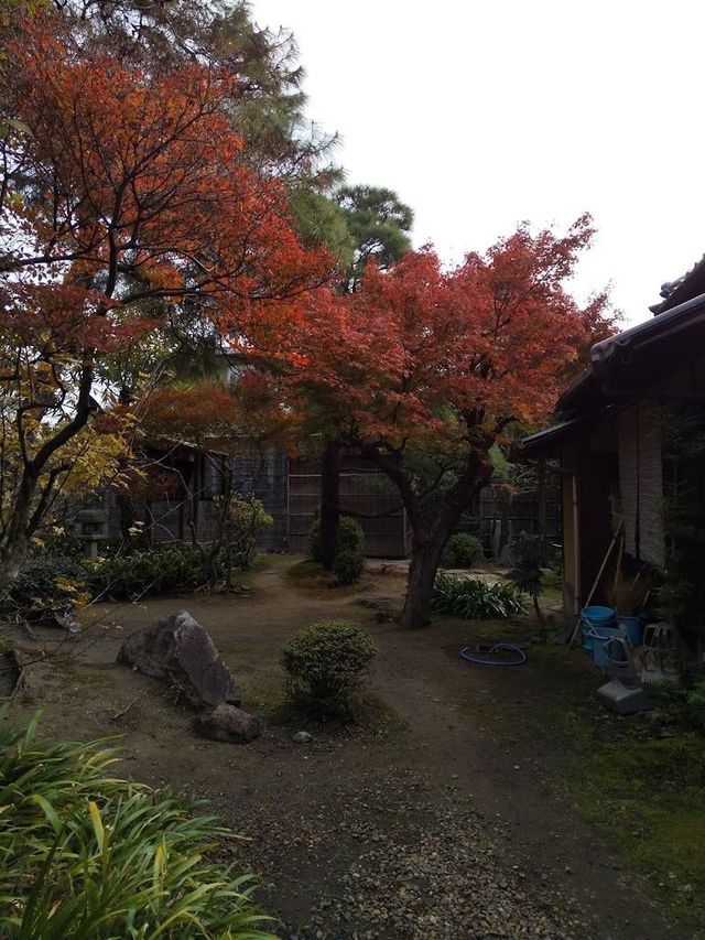 日本帶娃泡溫泉全攻略親子必備