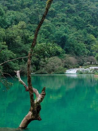 春節旅遊 | 嚟荔波大小七孔住呢間就啱啦！