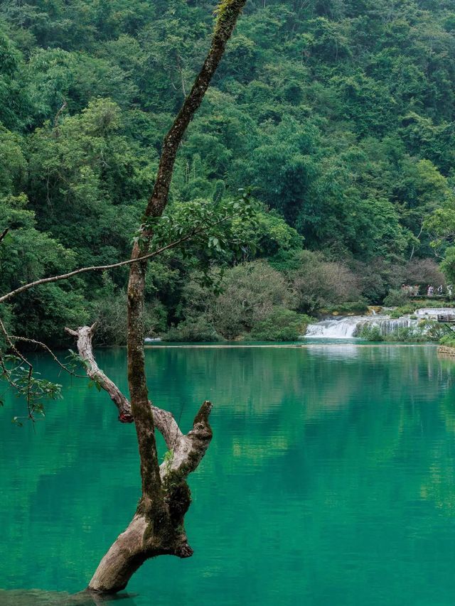 春節旅遊 | 嚟荔波大小七孔住呢間就啱啦！