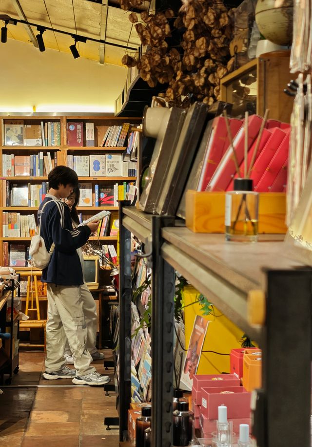 打卡先行書店 | 邂逅冬日銀杏之美