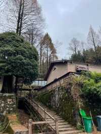天鵝堡滑雪遠離城市的渲染！總想逃離城市！