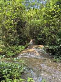 過年要去貴州黃果樹-梵淨山-鎮遠超全旅遊攻略