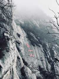 奔赴鄭州，只為一場「嵩山」之約