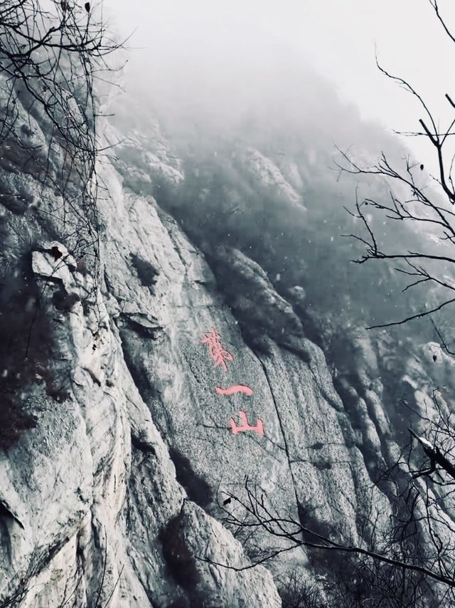 奔赴鄭州，只為一場「嵩山」之約