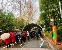 迎春本地遊｜市中心難得的大片綠地——人民公園