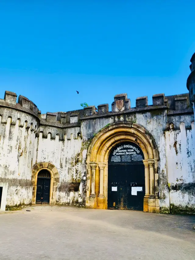 스리랑카 8일 여행 가족 여행의 즐거움이 가득