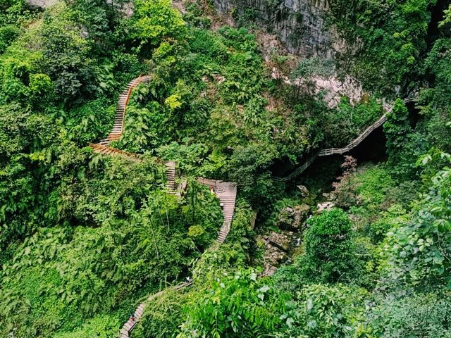 Green Ocean of Wufengshan: Surrealistic Beauty