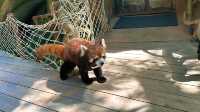 【南通森迪】住在動物園裏，來了就不想回家