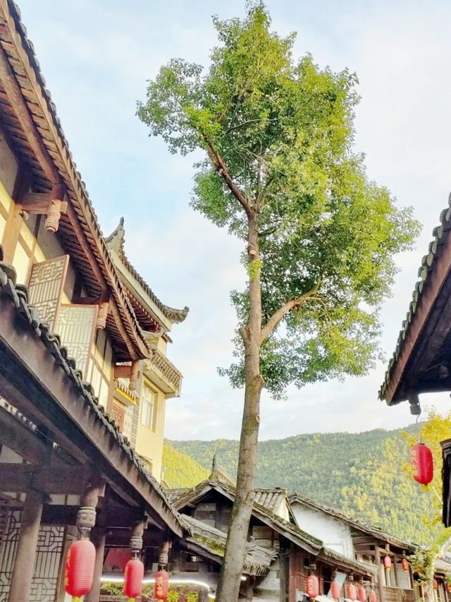 四川小眾寶藏地，昭化古鎮藏着意想不到的驚喜