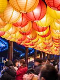 蘇州盤門元宵燈會 | 夢幻燈海中的元宵夜 