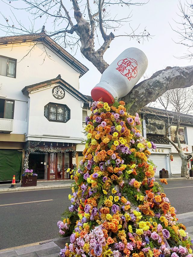 蘇州十全街，水陸平行，河街相鄰，古樸又時尚