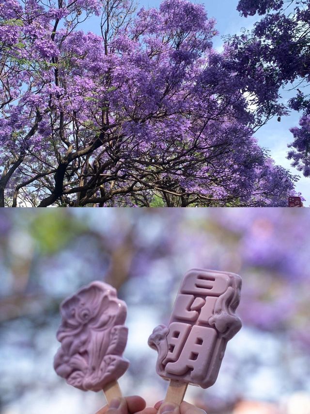 人生建議：春天務必要去一趟昆明！附賞花攻略