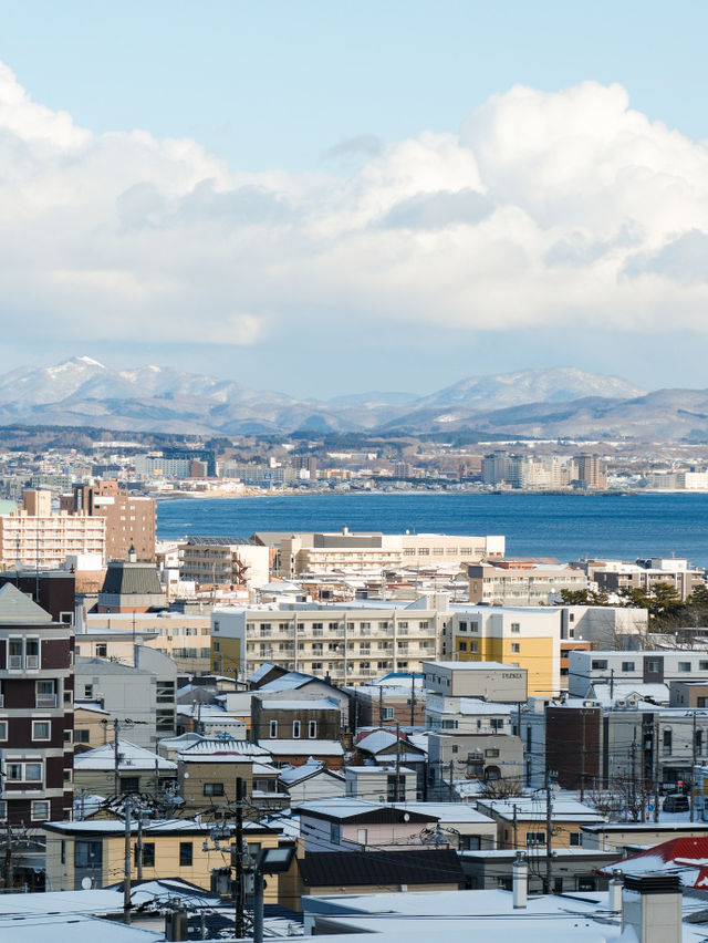 北海道的瞬間，彷彿一場夢境