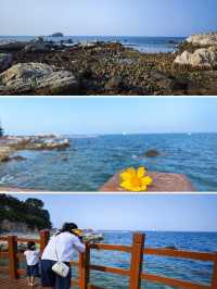 煙台-威海4天3晚親子自駕，沿海公路沒有終點