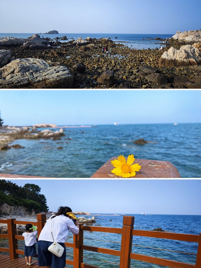 煙台-威海4天3晚親子自駕，沿海公路沒有終點