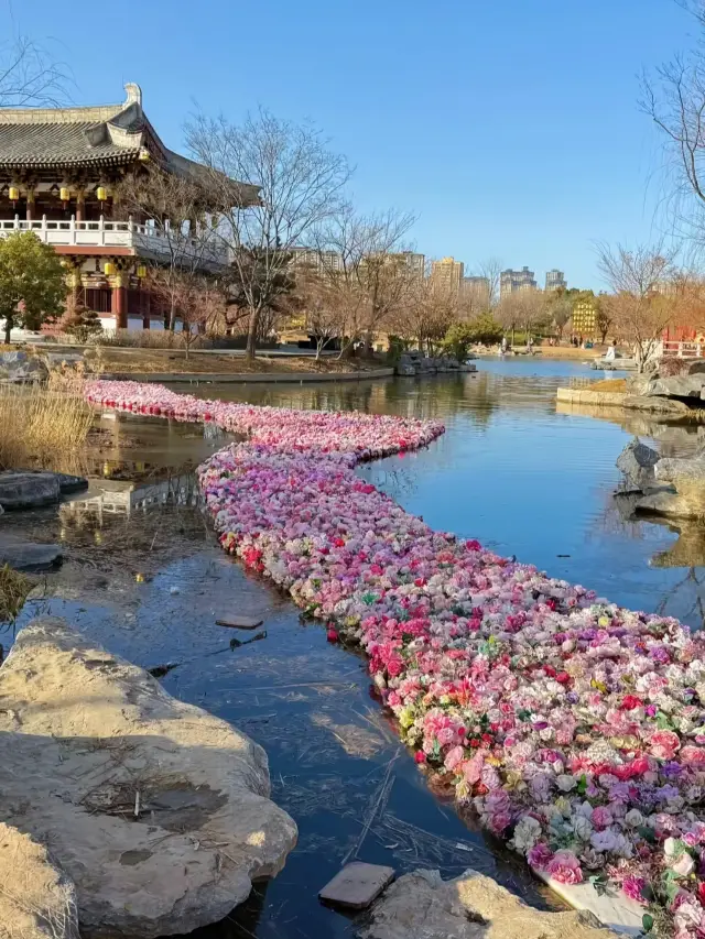 뤄양‖구주지에서 무심코 찍어도 멋진 사진이 나오는 곳