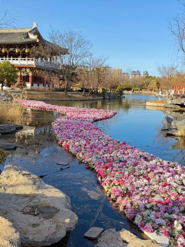 洛陽‖不愧是九州池隨手就是大片