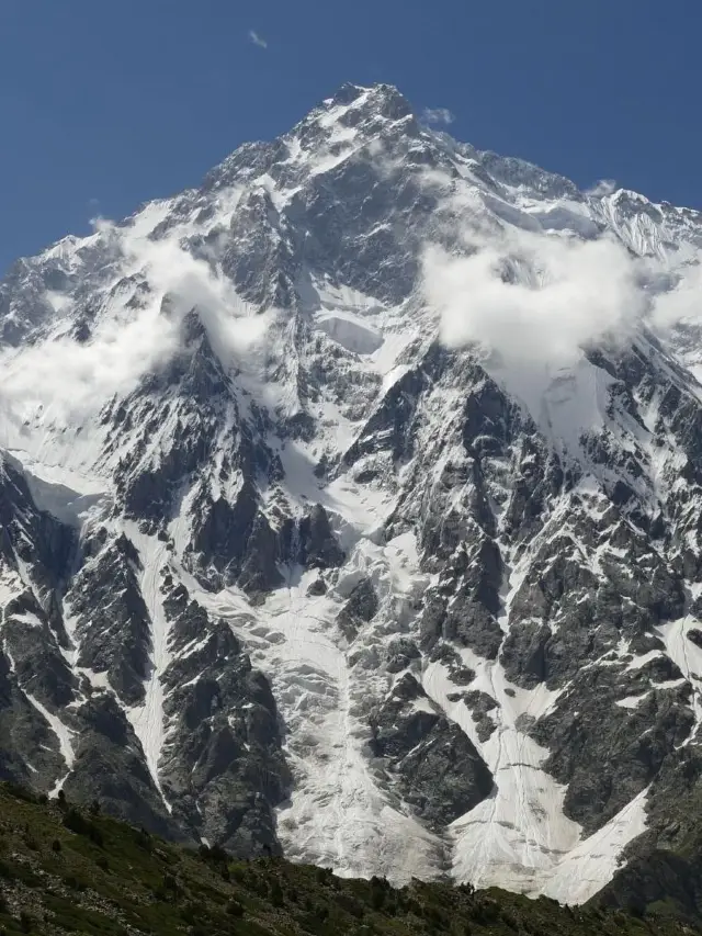18일간의 깊이 있는 탐험, 세이셸 등 여러 국가의 숲속 모험기