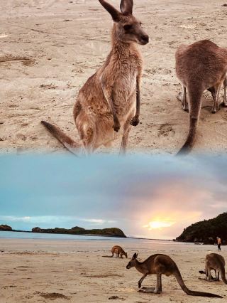 Mackay, a hidden gem in Queensland, Australia—here's your travel guide!