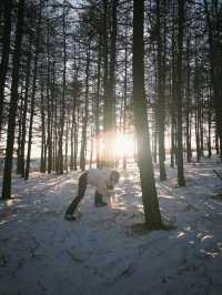 張家口滑雪攻略，新手也能輕鬆上手