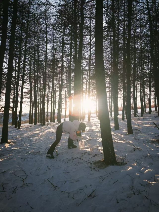 張家口滑雪攻略，新手也能輕鬆上手