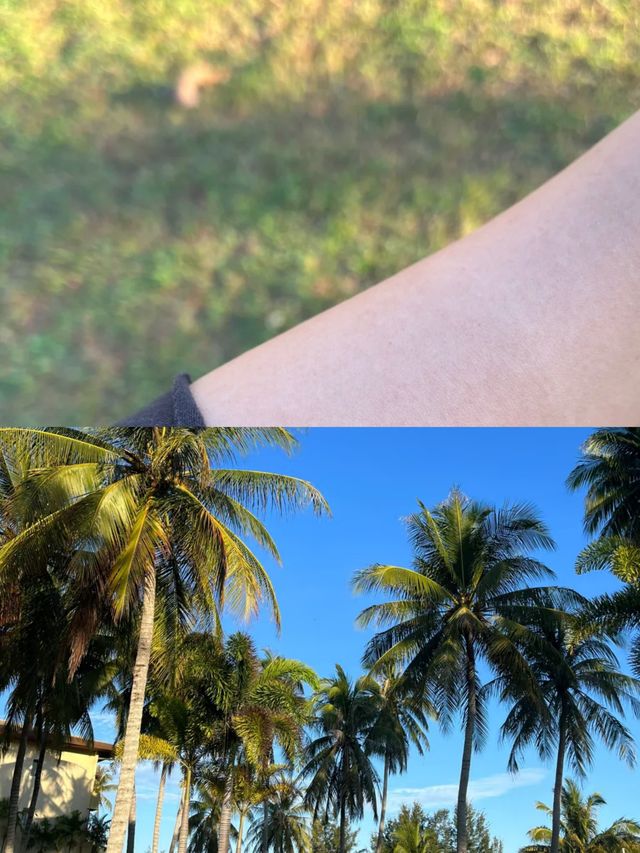 Palm Beach 世界盡頭的絕美棕櫚灘