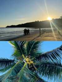 Palm Beach 世界盡頭的絕美棕櫚灘