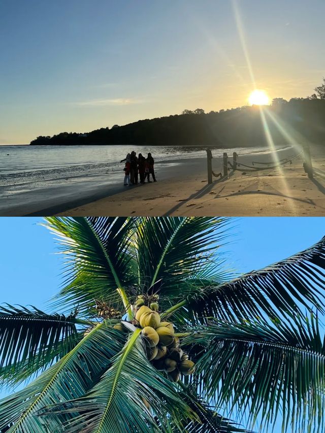Palm Beach 世界盡頭的絕美棕櫚灘