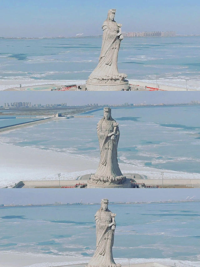 「馿馬．假日」邂逅與海鷗的浪漫之約