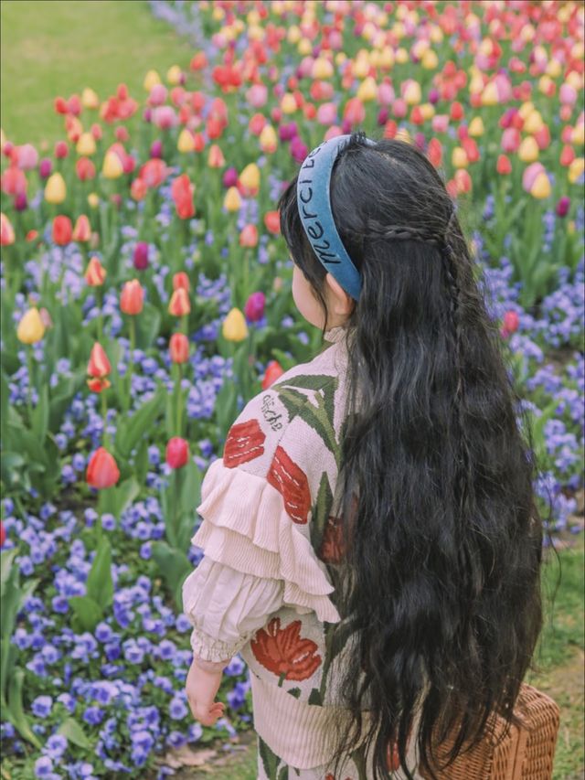 3月中旬不要錯過上海市區的這片鬱金香花海