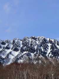 日本賞雪小眾目的地長野戶隱神社全攻略
