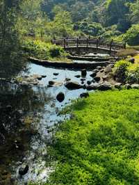 📍深圳｜恩上濕地公園👉週末吸氧好去處