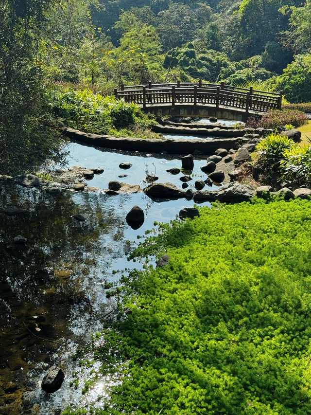 📍深圳｜恩上濕地公園👉週末吸氧好去處