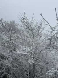 九華山雪景遊覽攻略