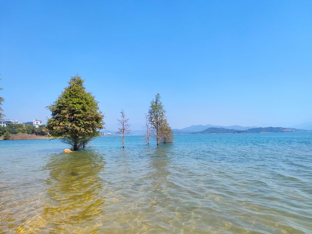 白廊｜免費暢玩的「小洱海」，美哭了
