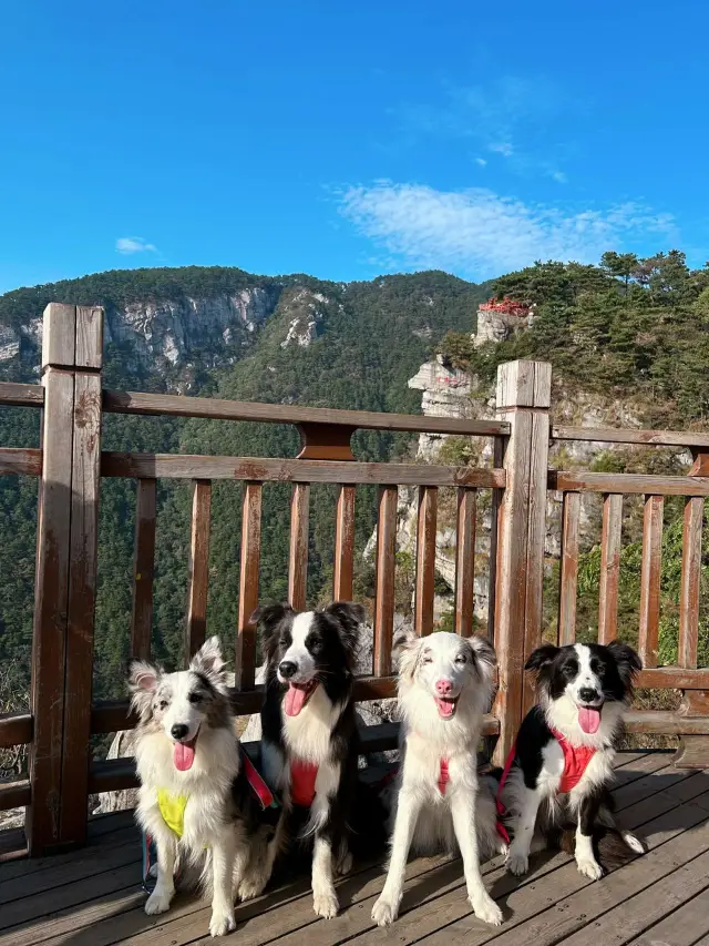 Friends: A 6-Day In-Depth Tour of Lushan, Jingdezhen, and Wuyuan