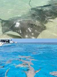 馬富士島 | 與夢幻海島邂逅，開啟浪漫海洋之旅