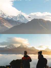 4月初假期布恩山7天行，高山杜鵑末班車